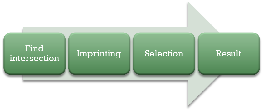 Steps in Faceted Boolean Algorithm