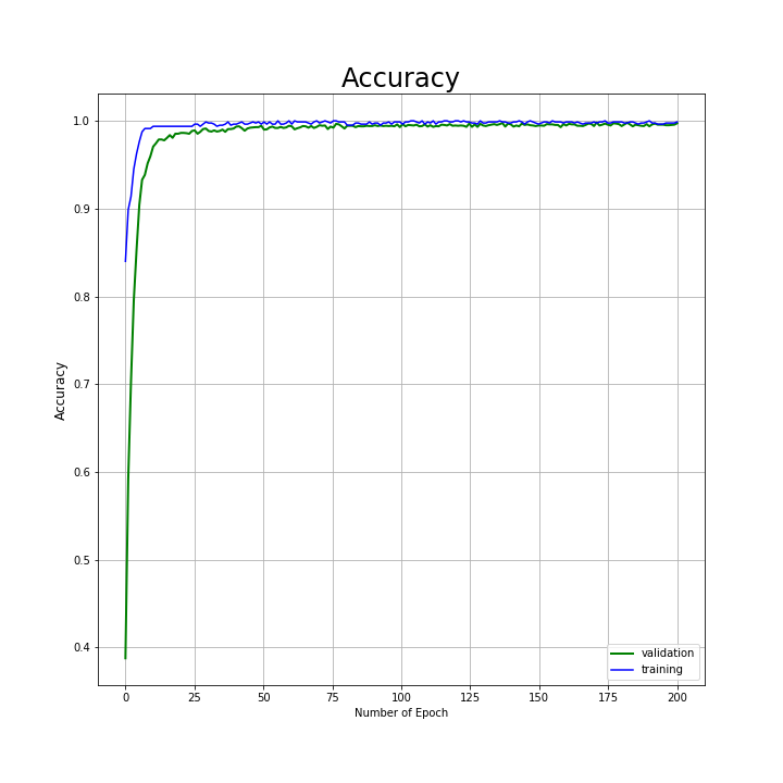 ML Train and Validation loss curves