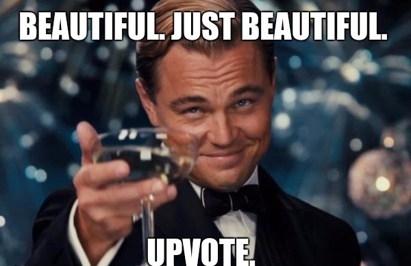 Beautiful results upvote