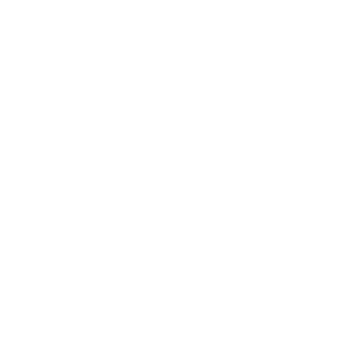 Export Data Icon